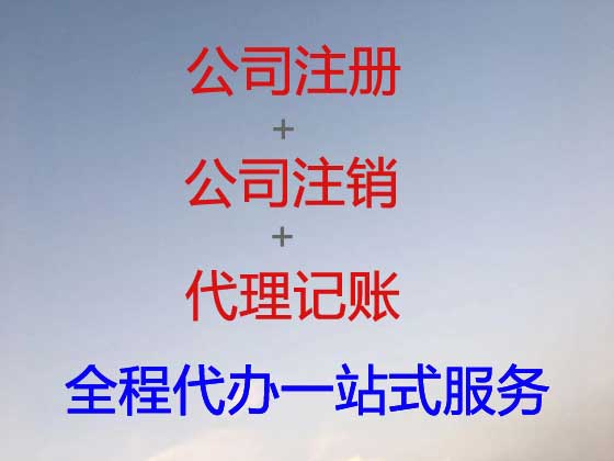 喀什公司个体户注册-公司减资变更